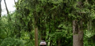 Abandon Your Worries: Discover The Best Aberdeen Escort Services