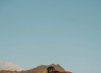 Sport Aberdeen: Discover Exciting Activities to Boost Your Fitness